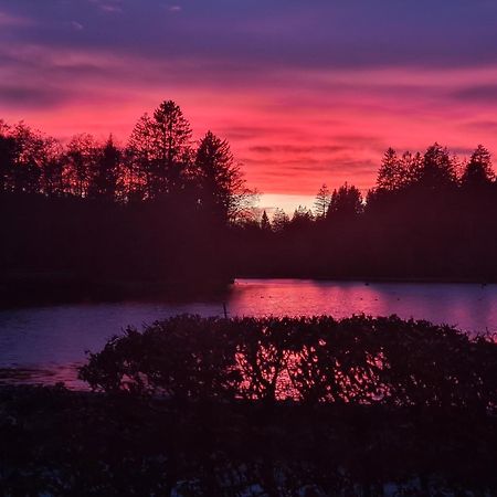 Hotel Waldsee Lindenberg im Allgau Luaran gambar