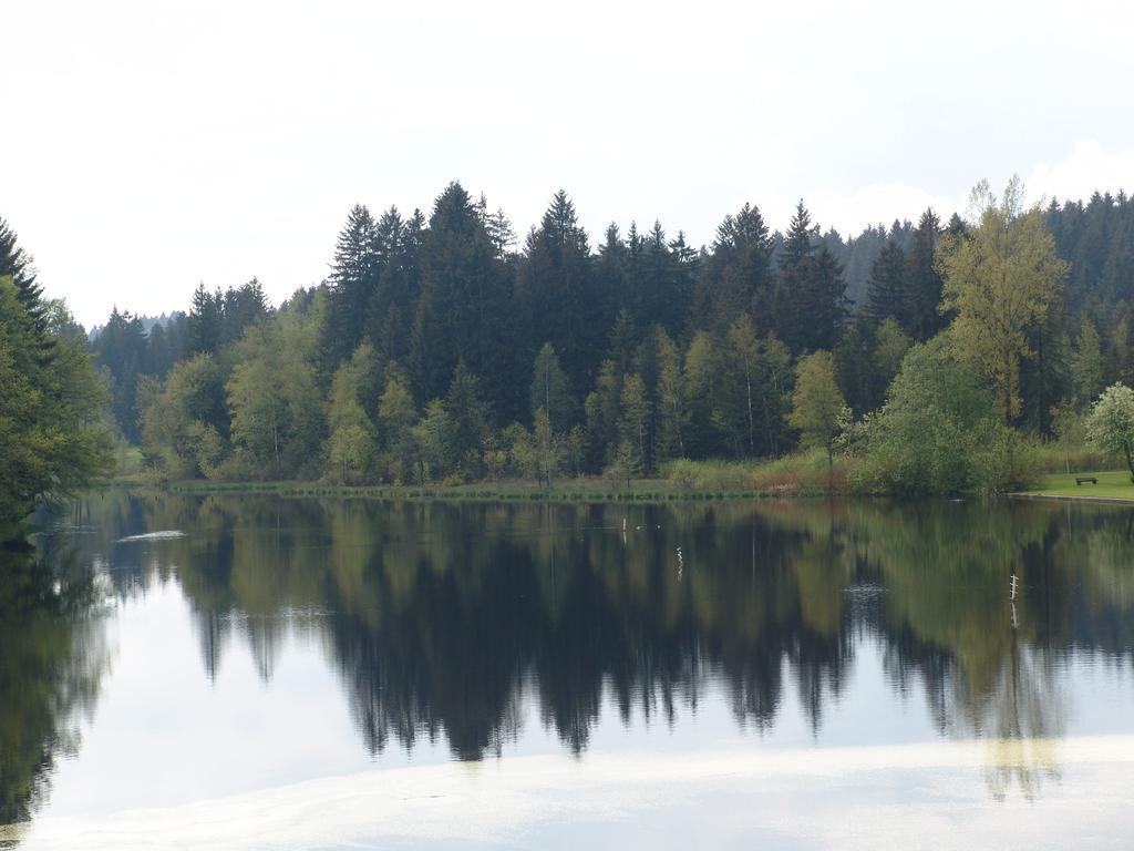 Hotel Waldsee Lindenberg im Allgau Luaran gambar