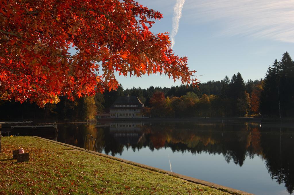 Hotel Waldsee Lindenberg im Allgau Luaran gambar
