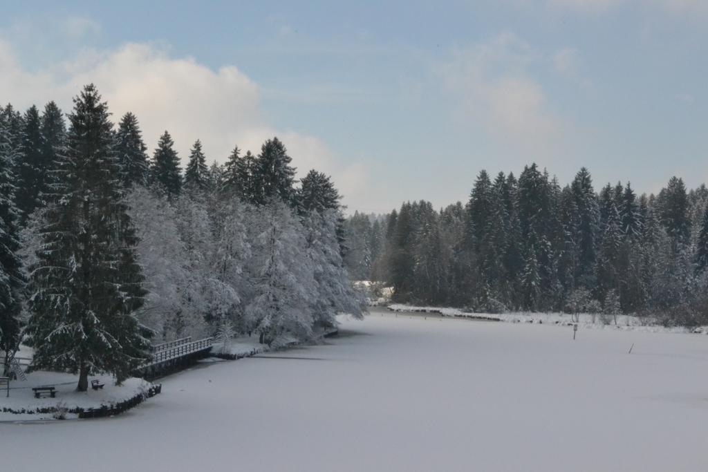 Hotel Waldsee Lindenberg im Allgau Luaran gambar