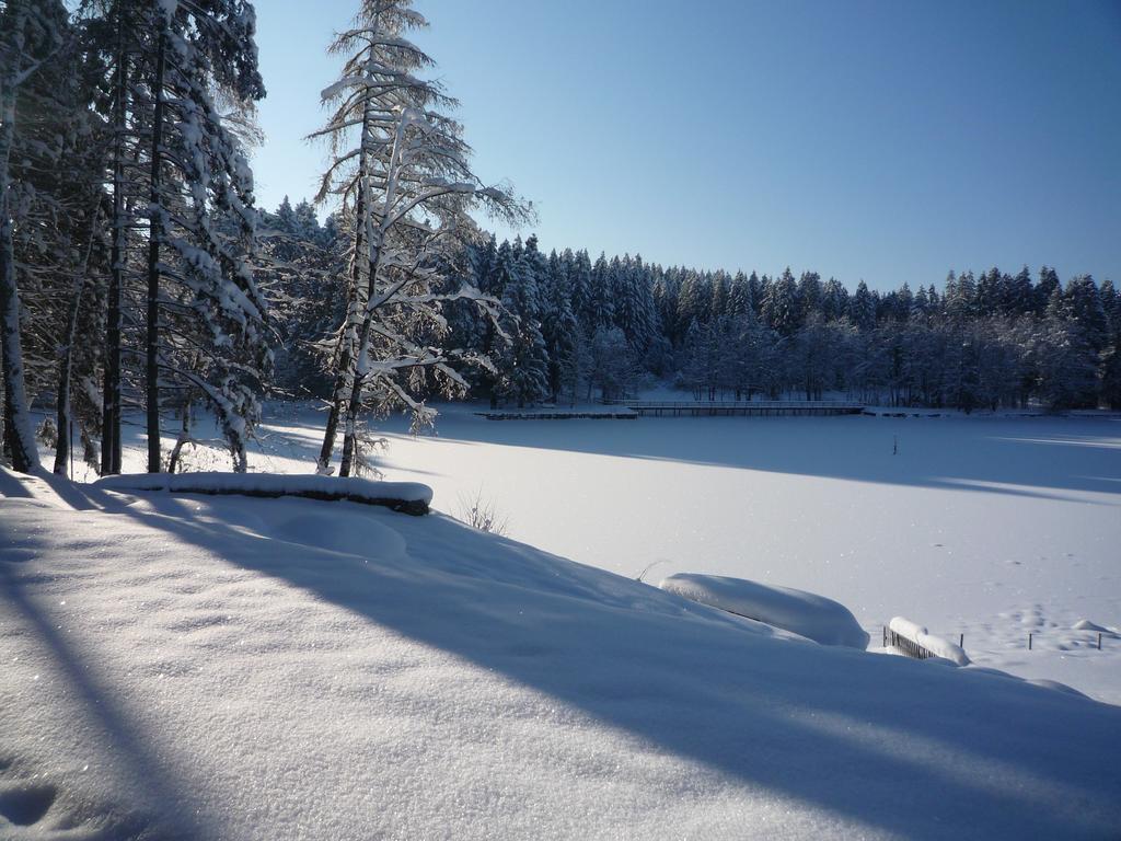 Hotel Waldsee Lindenberg im Allgau Luaran gambar