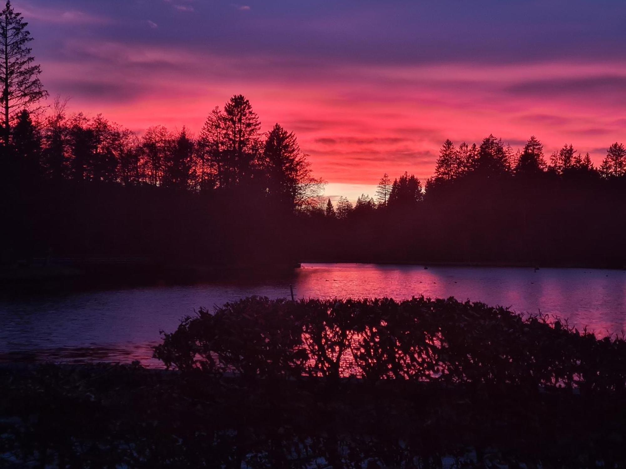 Hotel Waldsee Lindenberg im Allgau Luaran gambar