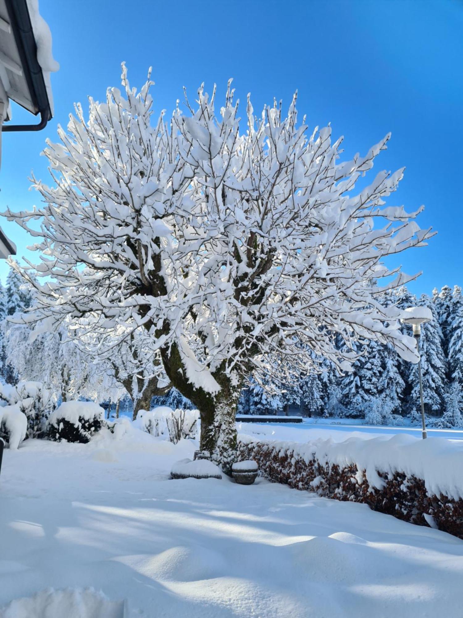 Hotel Waldsee Lindenberg im Allgau Luaran gambar