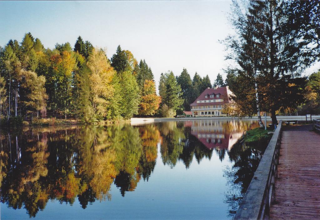 Hotel Waldsee Lindenberg im Allgau Luaran gambar